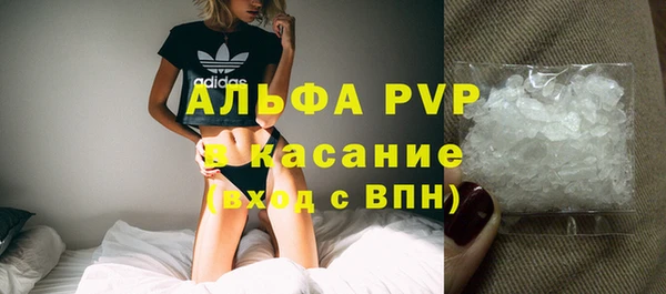 индика Аркадак