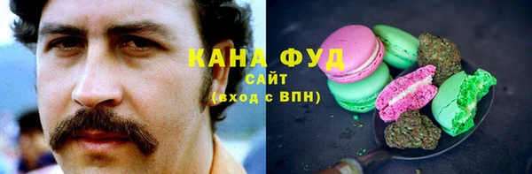 дмт Арсеньев