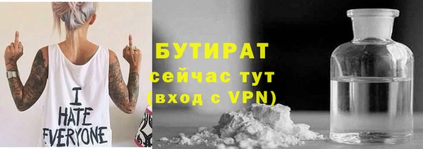 индика Аркадак