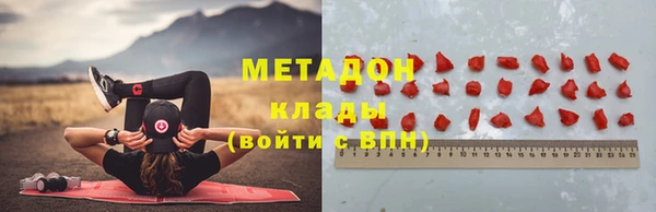 индика Аркадак