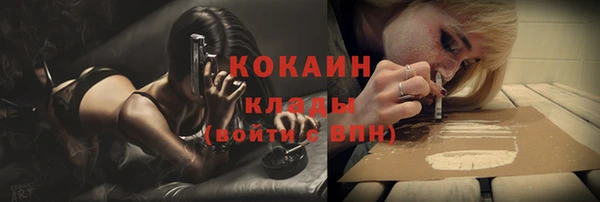 индика Аркадак