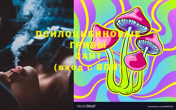индика Аркадак