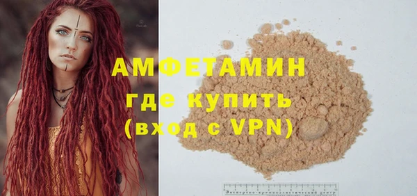 индика Аркадак